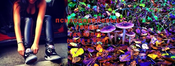 мдпв Мегион