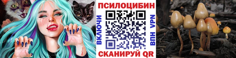 Псилоцибиновые грибы Cubensis  Купить закладки  Южа 